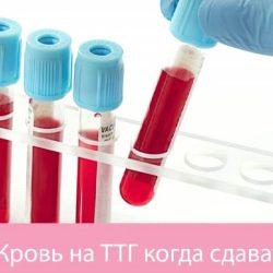 Анализ ТТГ когда лучше сдавать Анализ ТТГ когда лучше сдавать