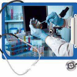 Лейкоциты в крови Лейкоциты в крови