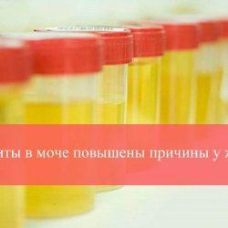Лейкоциты в моче повышены причины у женщин Лейкоциты в моче повышены причины у женщин