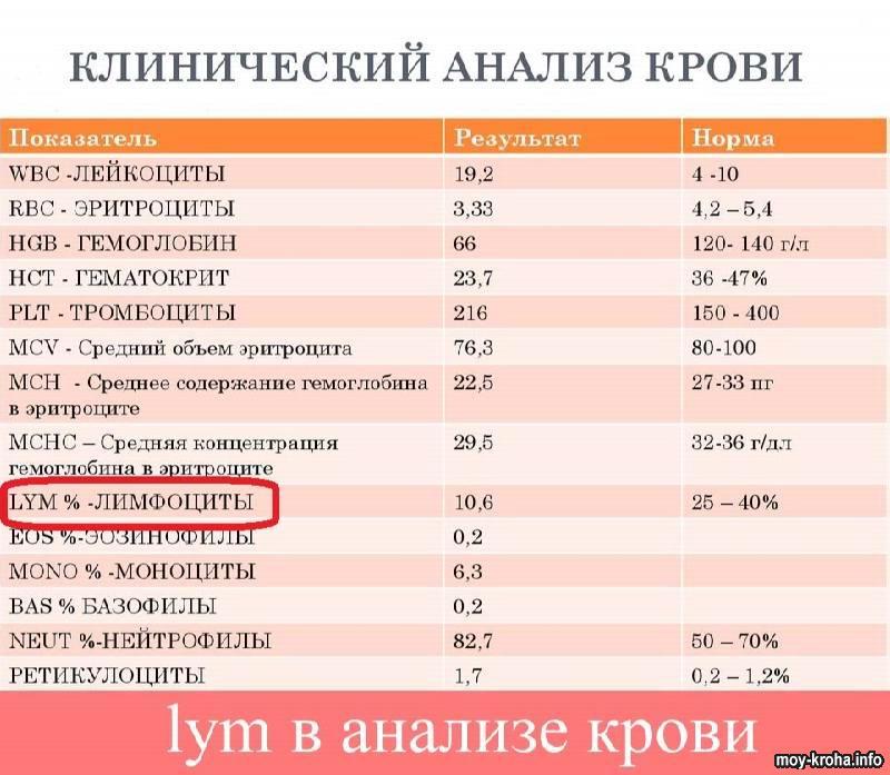 Какие причины плохого самочувствия? 02. 07. не смогла встать после прогулки. Med