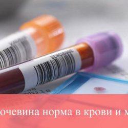 Мочевина норма в анализах Мочевина норма в анализах