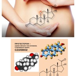 Анализ на прогестерон Анализ на прогестерон