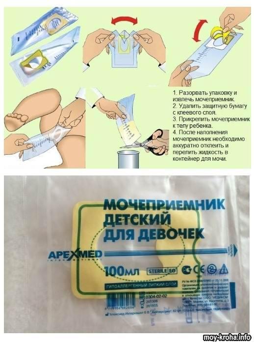 Органы мочеобразования и мочеотделения у детей.