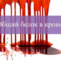 Общий белок в крови норма Общий белок в крови норма