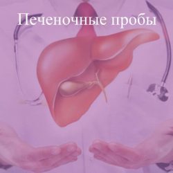 Печеночные пробы Печеночные пробы