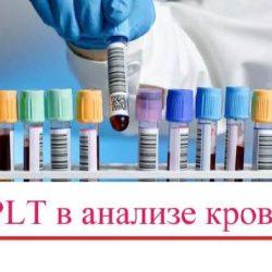PLT в анализе крови