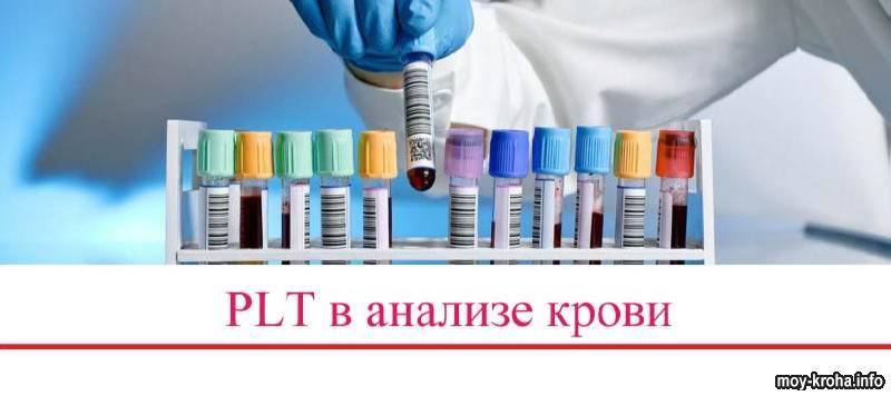 PLT в анализе крови