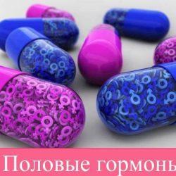 Половые гормоны Половые гормоны