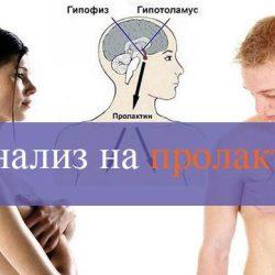 Анализ на пролактин Анализ на пролактин