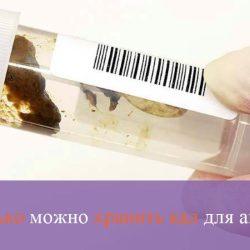 Сколько можно хранить кал для анализа Сколько можно хранить кал для анализа