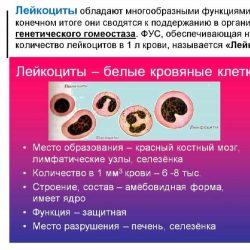 Анализ на лейкоциты Анализ на лейкоциты