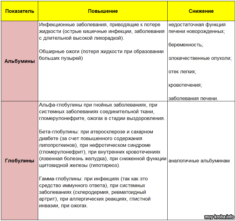 Биохимический анализ крови расшифровка у взрослых