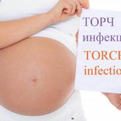 ТОРЧ инфекции ТОРЧ инфекции