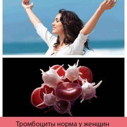 Норма тромбоцитов в крови у женщин Норма тромбоцитов в крови у женщин