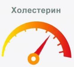 Уровень холестерина в крови норма Уровень холестерина в крови норма