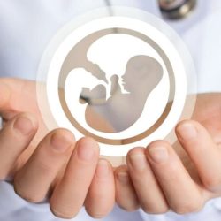 Сурогатне материнство та донорство яйцеклітин при безплідді